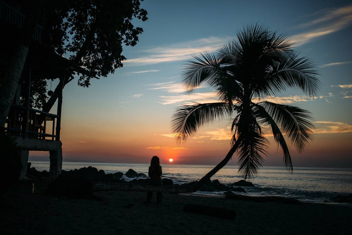 Costa Rica sunset afterglow with palm silhouette
