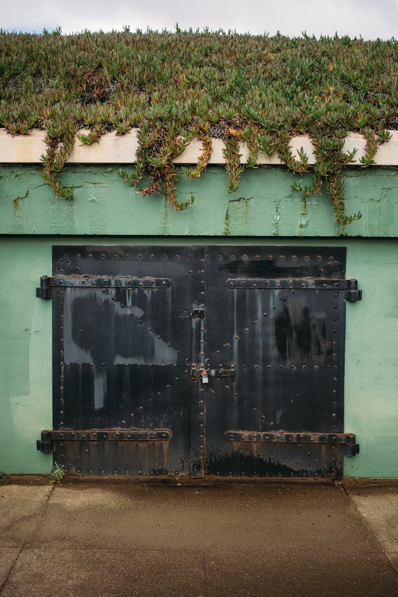 A green door and overgrown concrete wall near the old Baker Beach gun batteries in San Francisco. print option