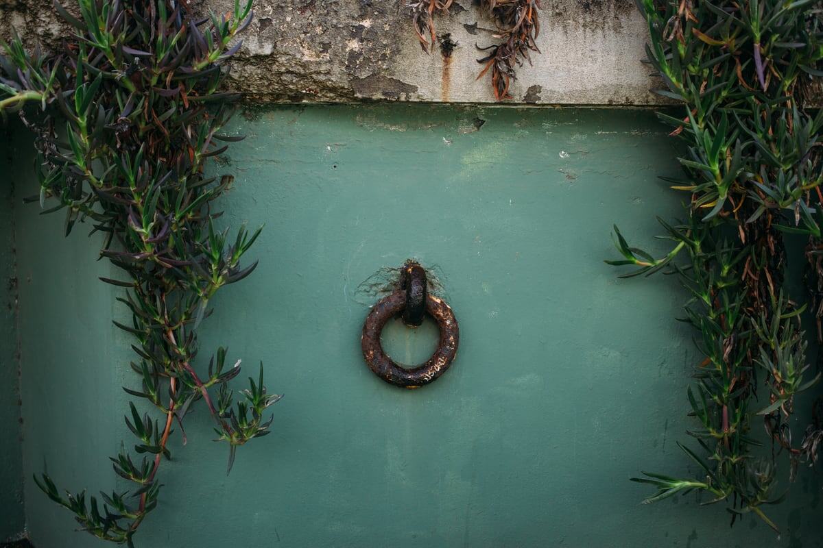 A turquoise door and metal ring detail at Baker Beach, where plants reclaim old military concrete and metal. print option