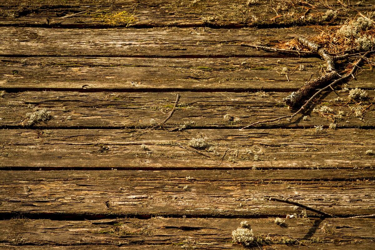 Cracked boards, warm grain and small natural marks in a Muskoka texture study. print option