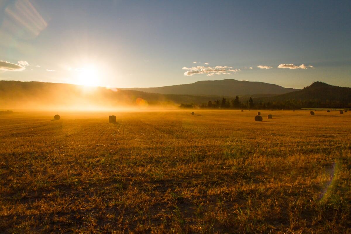 Low sun washes across a field and distant hills near Grindrod and Enderby, BC. print option