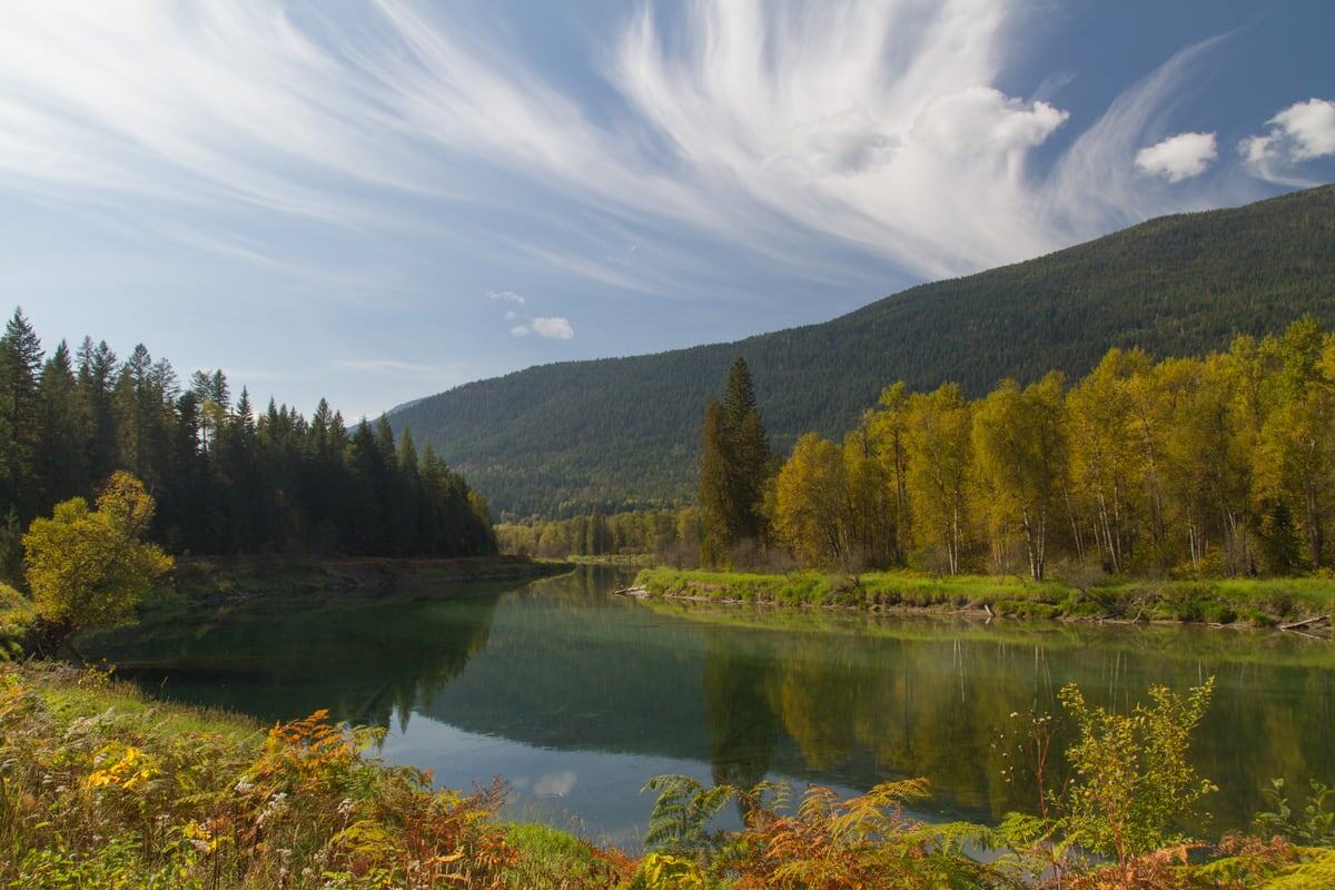 A green river bend curves through yellow trees and mountain light in the Kootenays near Kaslo, BC. print option