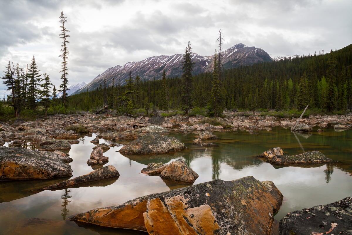 Rock pools, dead trees and mountain weather form a rugged alpine study outside Jasper, Alberta. print option
