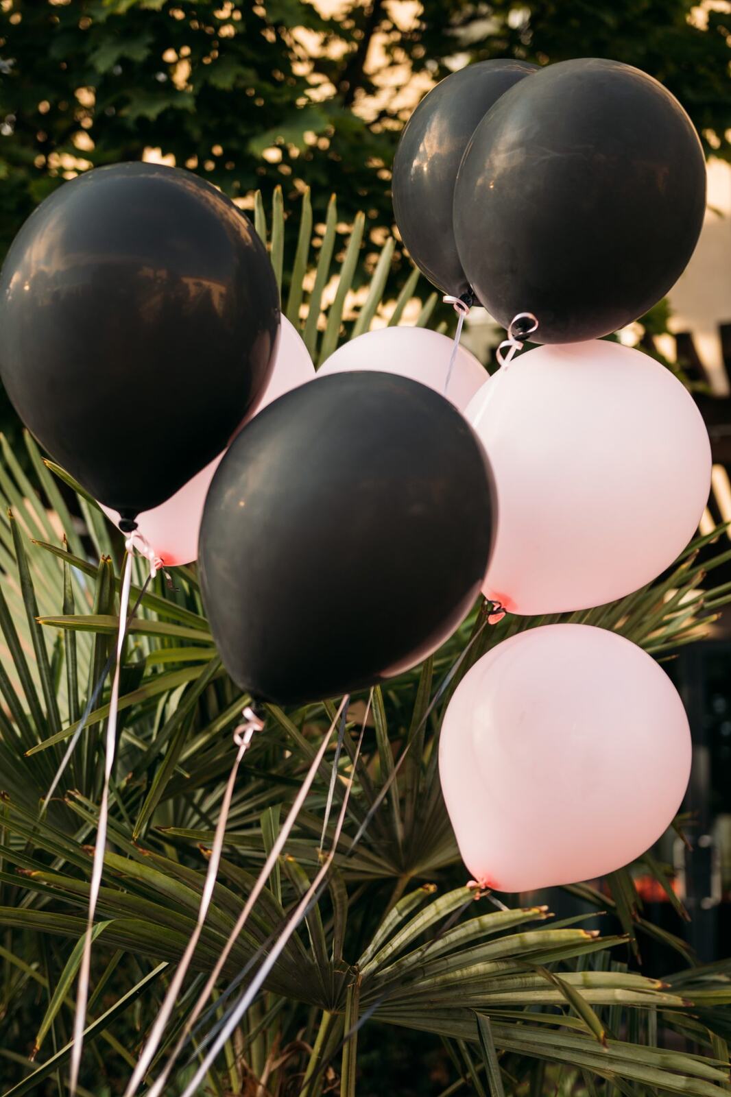 Let's Not Sugarcoat It, Fall corporate story frame 18: A brighter business-portrait set for Let's Not Sugarcoat It: balloons, pink dress, sunglasses, cups and a public voice with more charge..