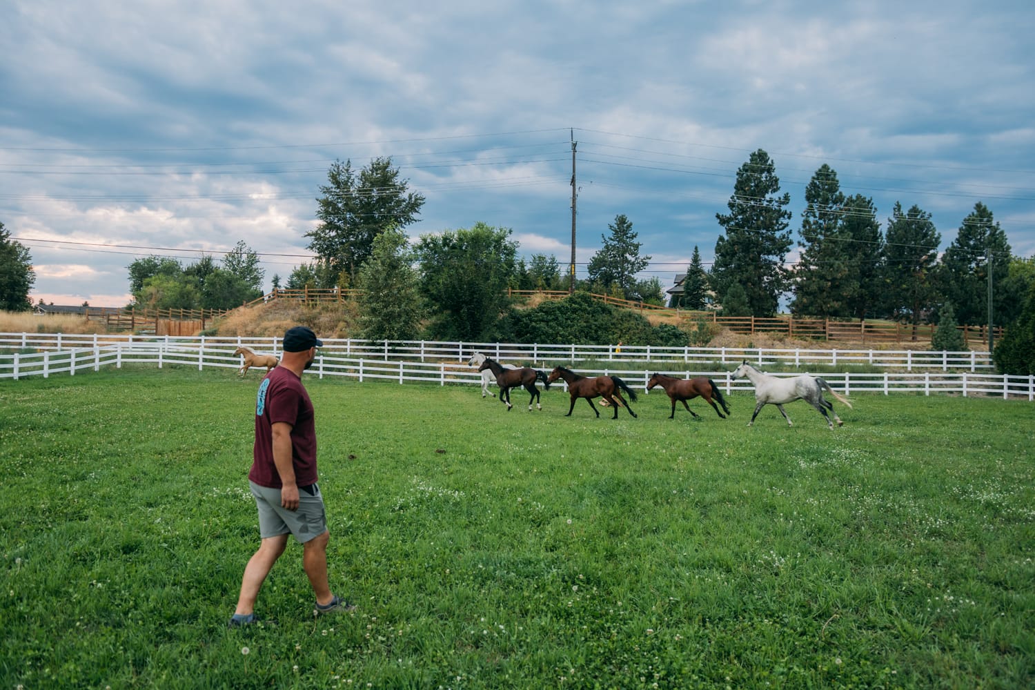 Ashton at the Ranch portraits story frame 11: Ranch portraits for Ashton in Kelowna, with horses, open pasture, quiet country styling and Okanagan light shaped into a grounded portrait story.