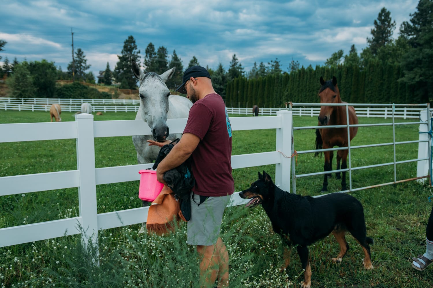 Ashton at the Ranch portraits story frame 18: Ranch portraits for Ashton in Kelowna, with horses, open pasture, quiet country styling and Okanagan light shaped into a grounded portrait story.
