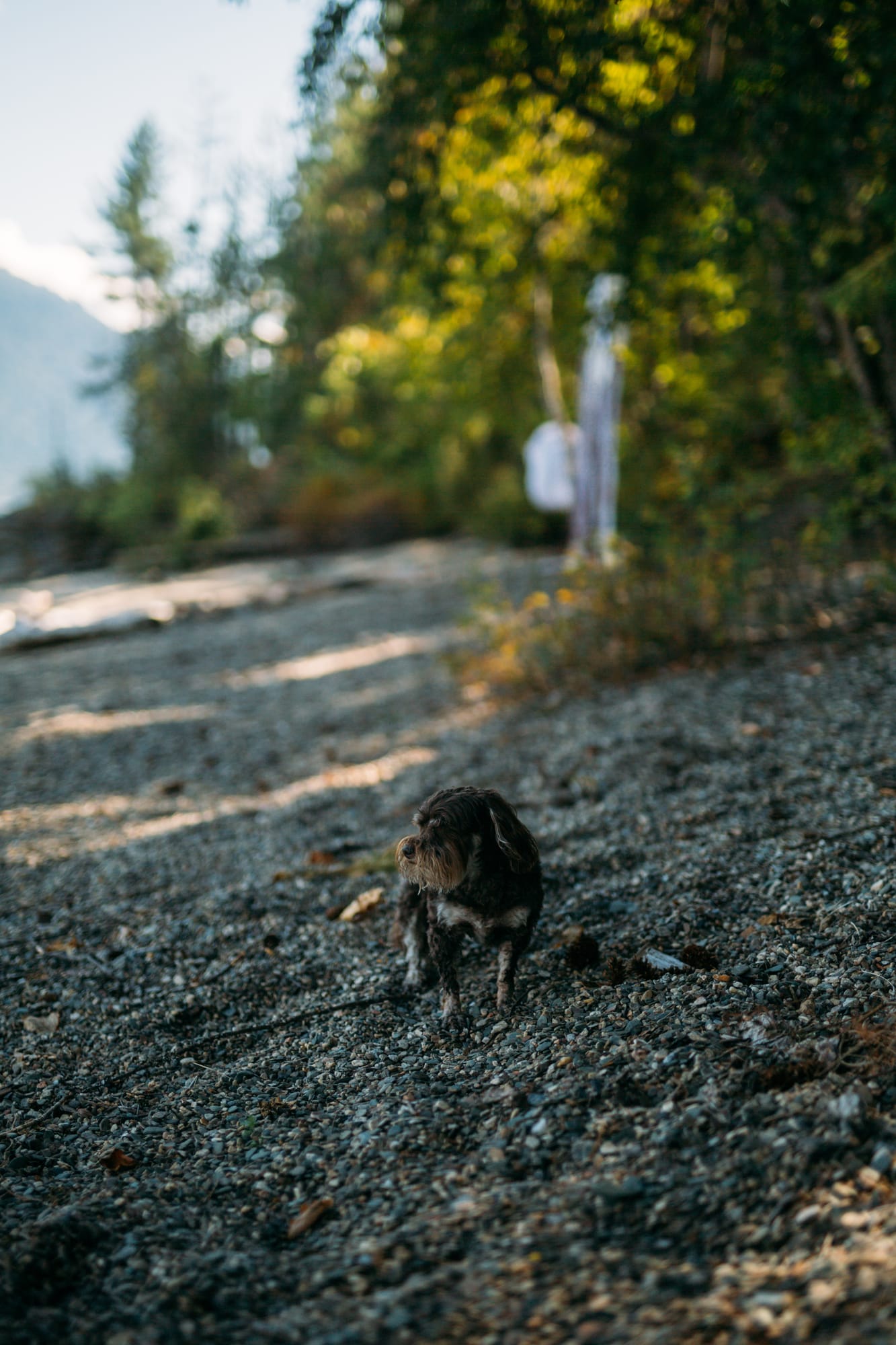 Carmel and Chris weddings story frame 6: A Sicamous and Shuswap Lake houseboat wedding that moved from water to beach, with friend-community overlap and a relaxed lakeside feeling..