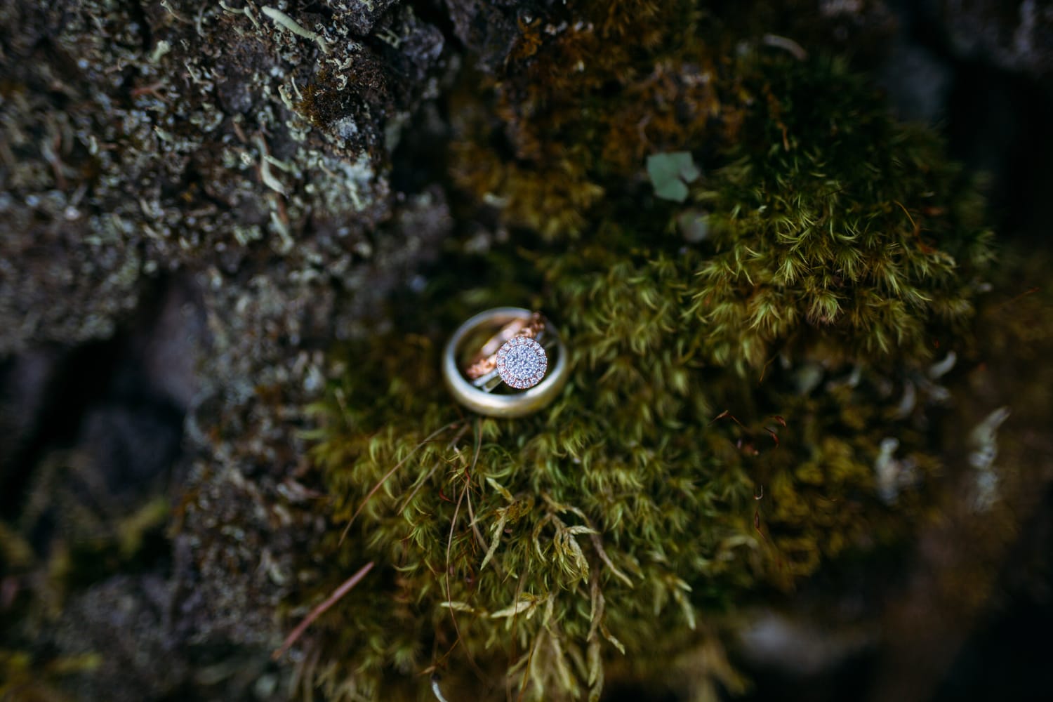 Carmel and Chris weddings story frame 7: A Sicamous and Shuswap Lake houseboat wedding that moved from water to beach, with friend-community overlap and a relaxed lakeside feeling..