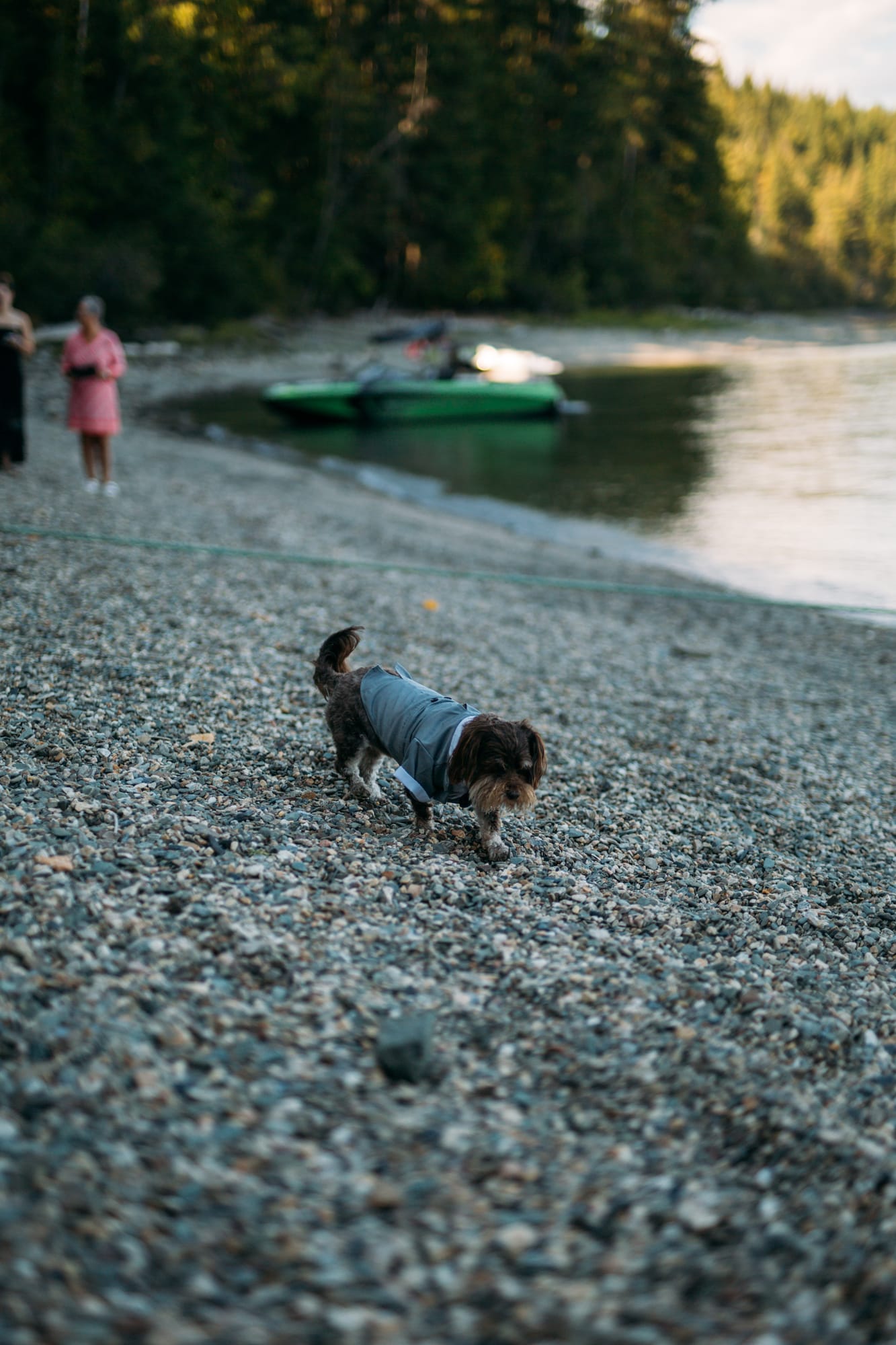 Carmel and Chris weddings story frame 16: A Sicamous and Shuswap Lake houseboat wedding that moved from water to beach, with friend-community overlap and a relaxed lakeside feeling..
