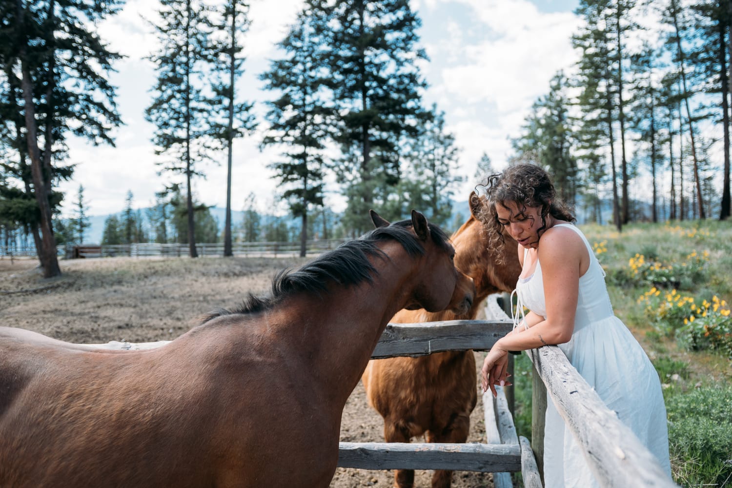 Giuliana at LoveReins portraits story frame 5: Equestrian portrait session at Love Reins Ranch in Lake Country, BC, with Giuliana, horses, white-dress portraits, Western cowgirl styling, ranch fencing, riding frames and warm Okanagan light..
