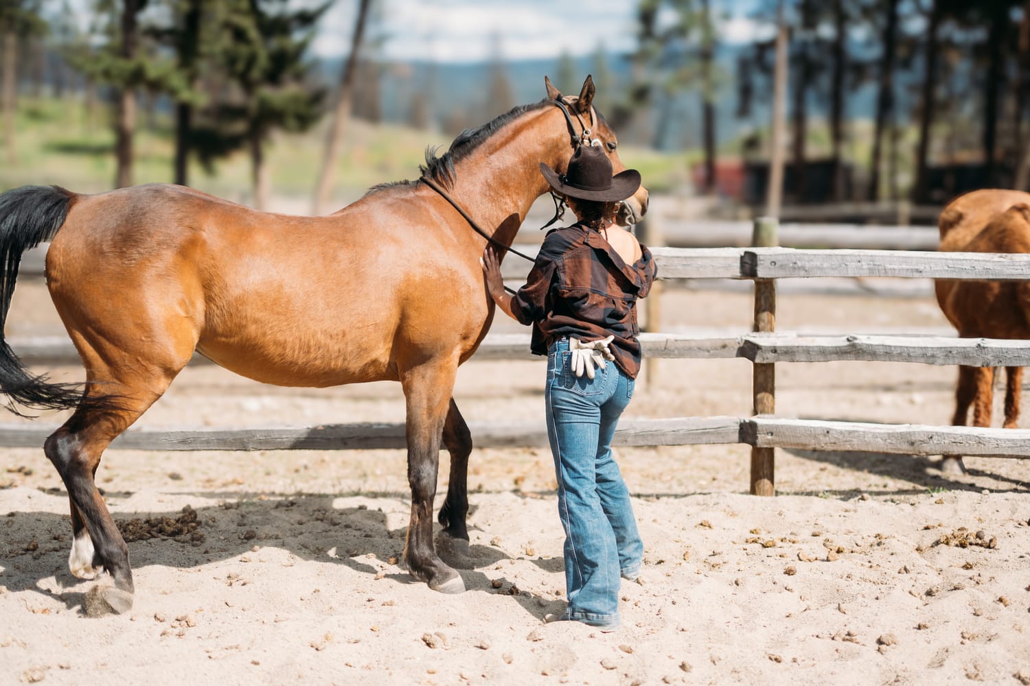 Giuliana at LoveReins portraits story frame 13: Equestrian portrait session at Love Reins Ranch in Lake Country, BC, with Giuliana, horses, white-dress portraits, Western cowgirl styling, ranch fencing, riding frames and warm Okanagan light..