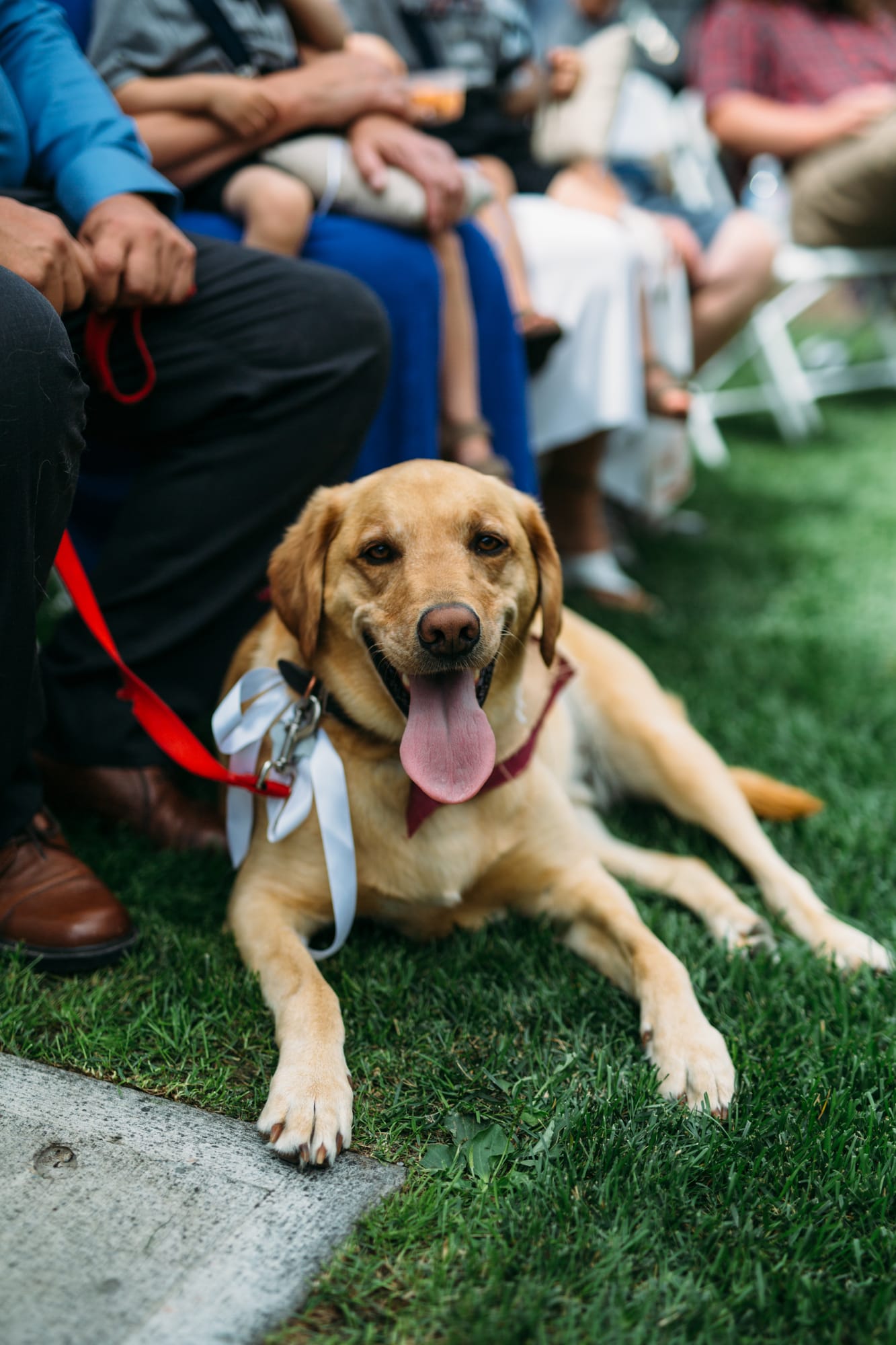 Hannah and Max weddings story frame 11: A sweet private backyard wedding in Kamloops, with family closeness, friend energy, weather and detail moments that make the archive feel alive..