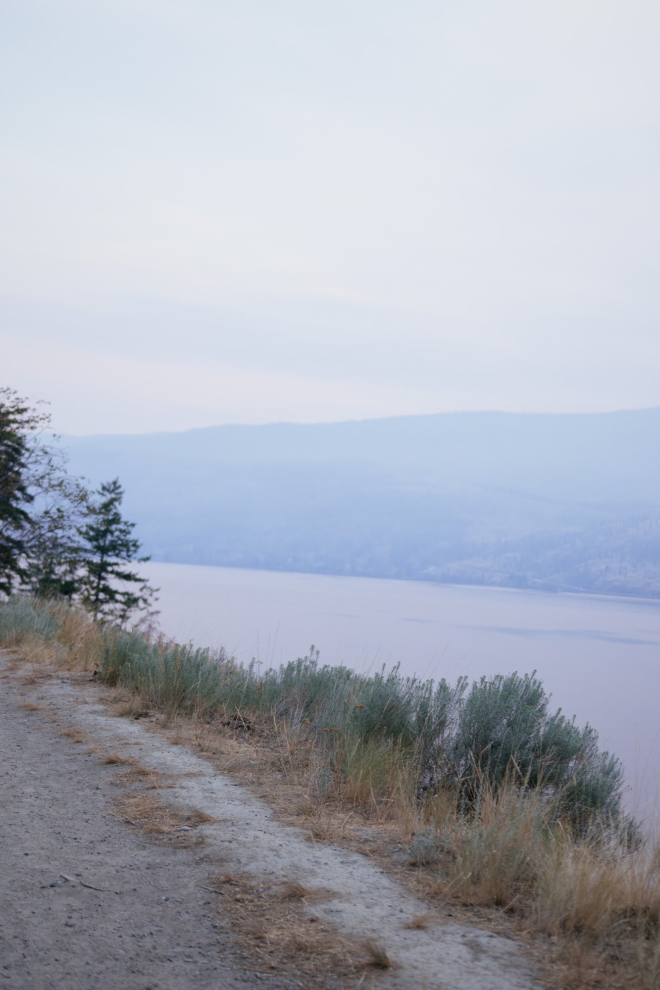 The quiet trail above the lake on the walk back