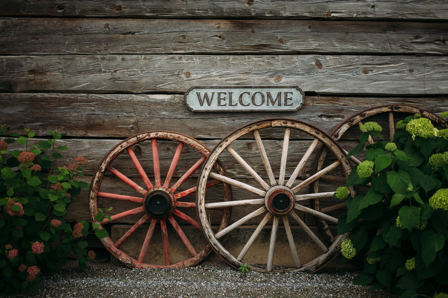 Leslie and Gerome weddings story frame 9: A Brook & Barn - Casorso Heritage Farm wedding in Kelowna, with orchard details, outbuildings, lawn games and a familiar friend-party feeling..