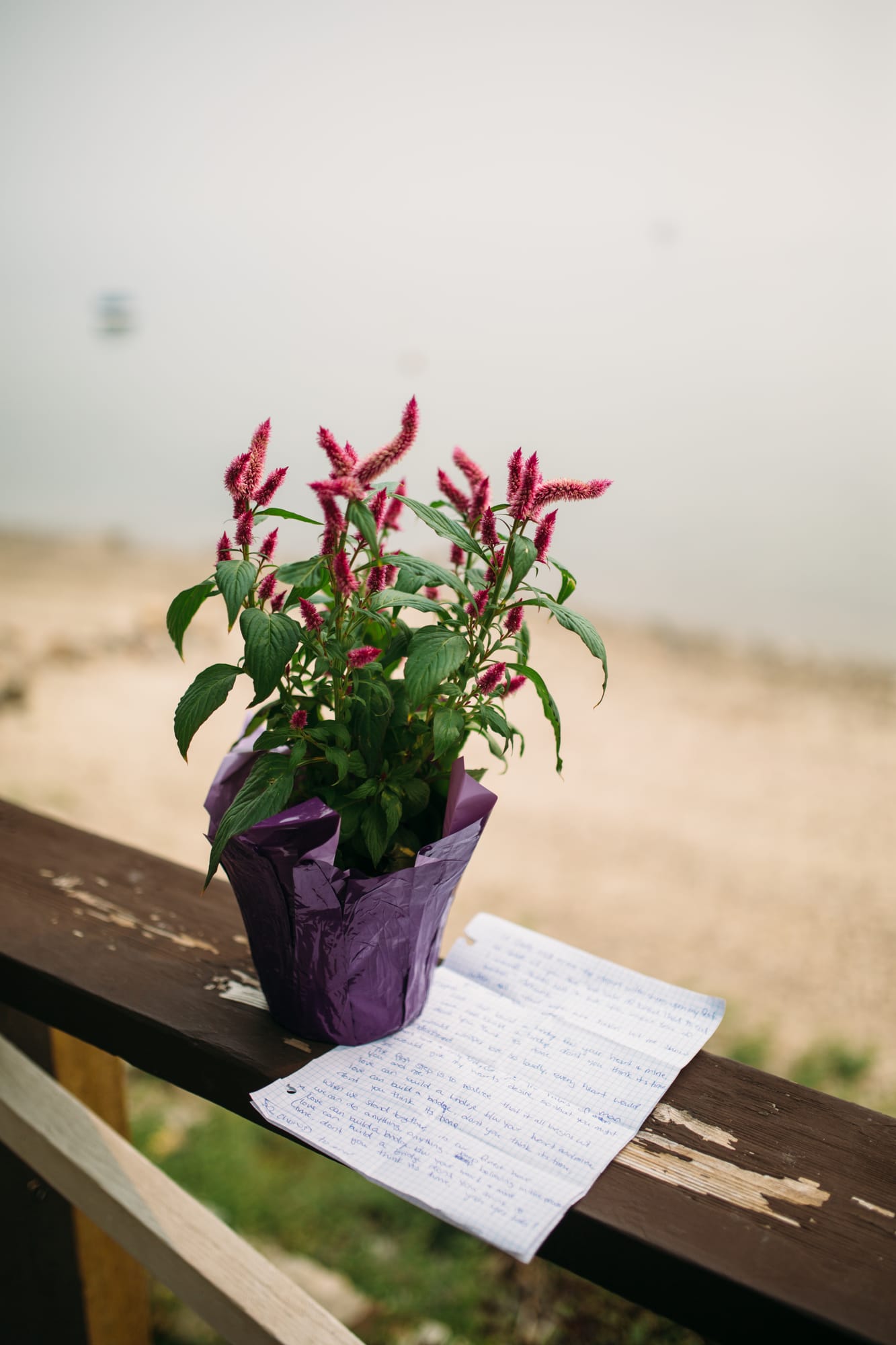 Marie and Mark weddings story frame 4: A Mabel Lake Airpark wedding in the North Okanagan, with grass-runway scenery, open-air photos and sweet family help around makeup, flowers and petals..