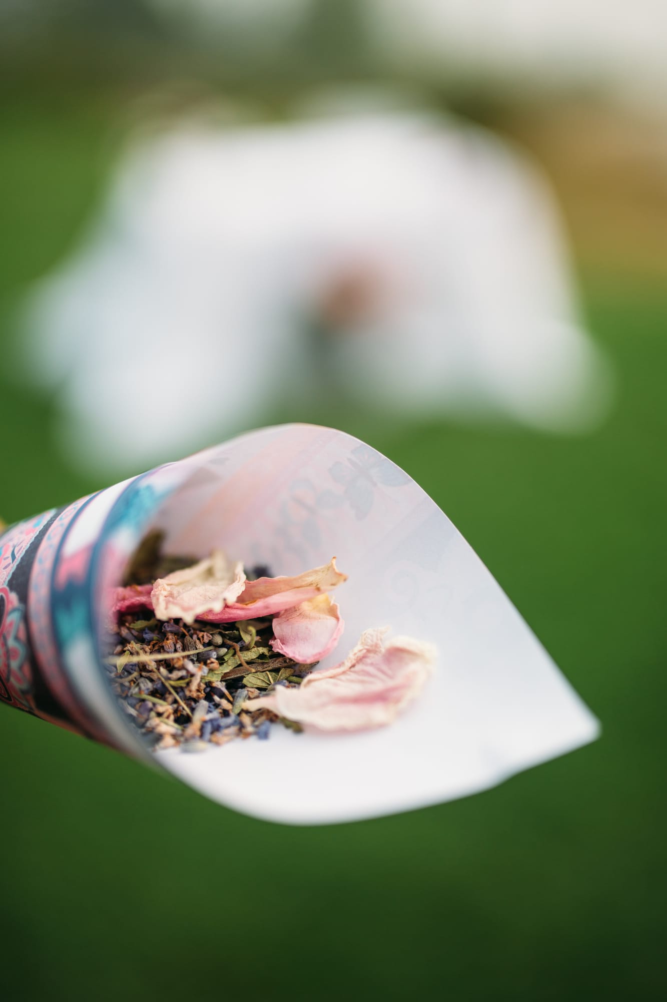 Marie and Mark weddings story frame 14: A Mabel Lake Airpark wedding in the North Okanagan, with grass-runway scenery, open-air photos and sweet family help around makeup, flowers and petals..