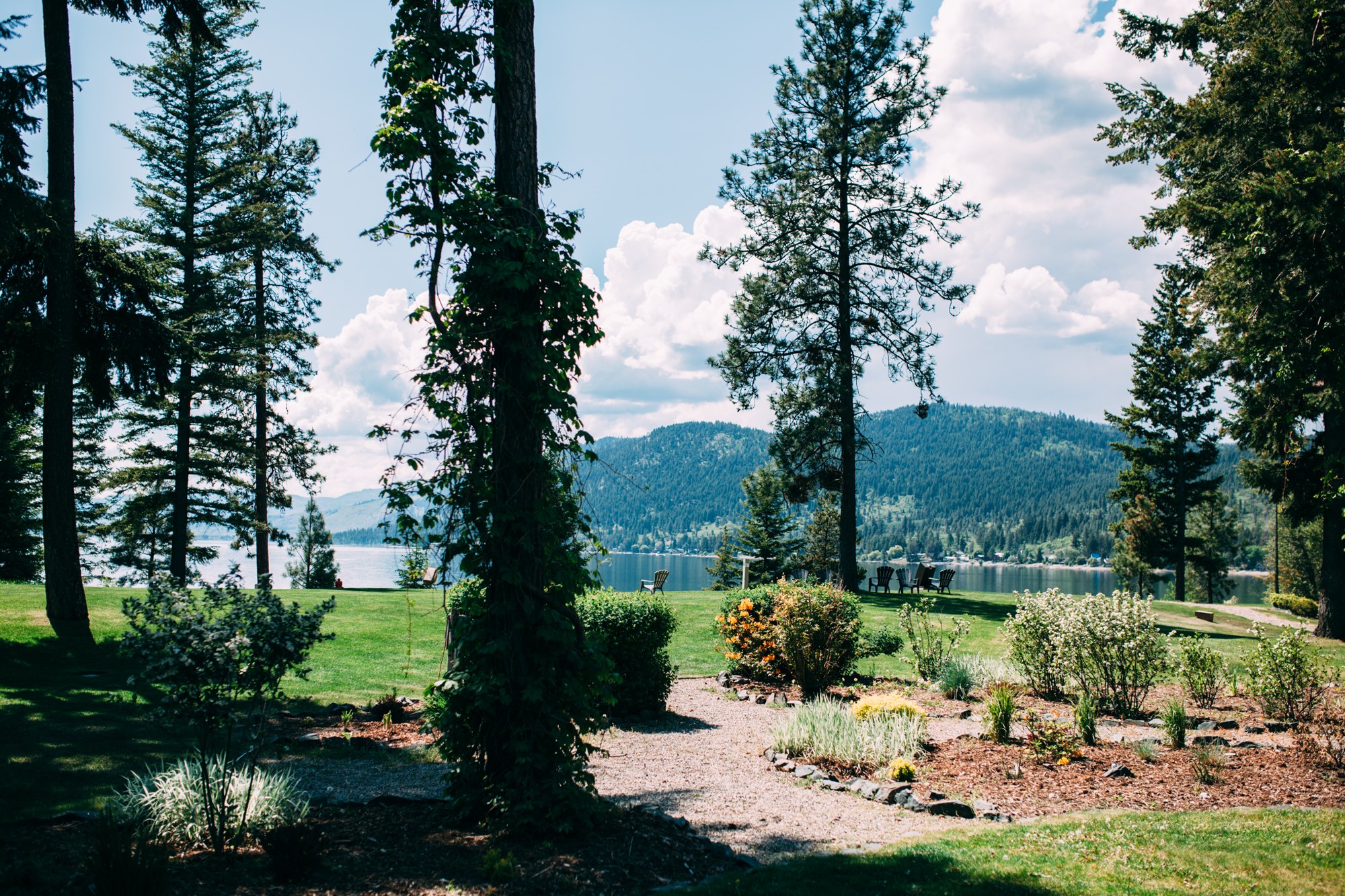 Mel & Eric: Lake and trees surrounding the ceremony setting.