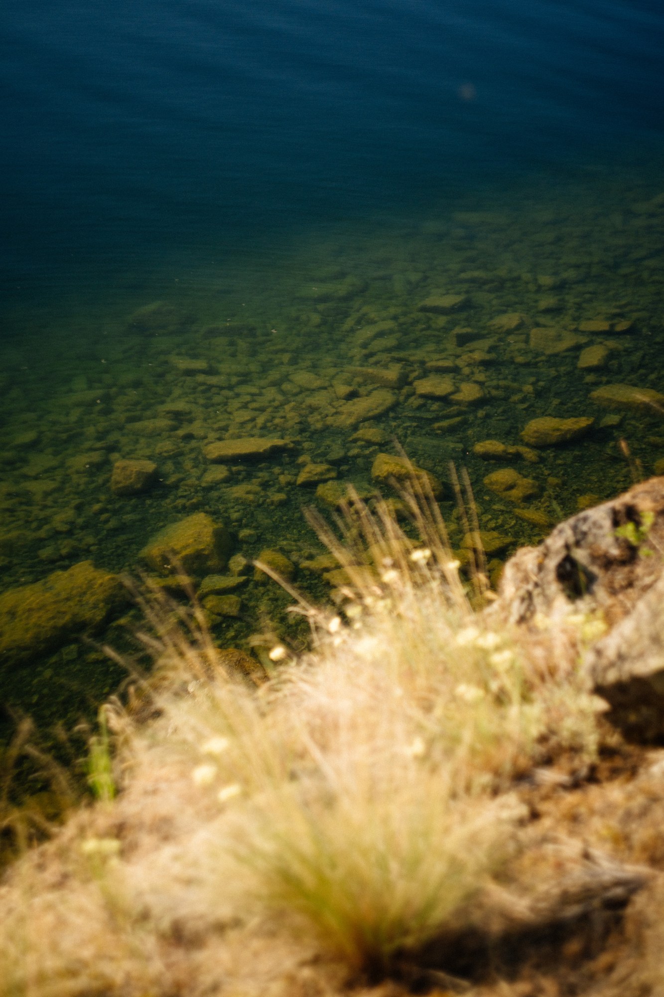 Evening Light at Paul’s Tomb: Green shallows and the shoreline edge.