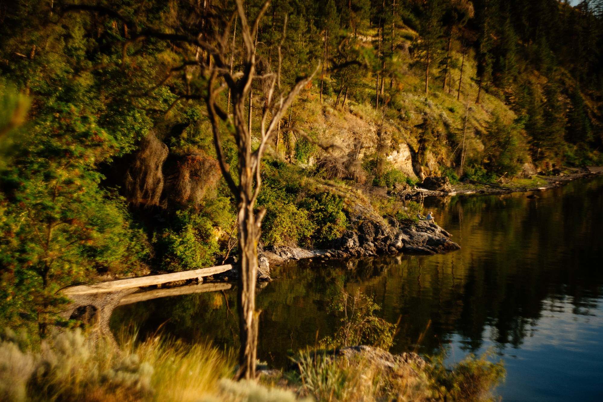 Evening Light at Paul’s Tomb: Trees and a fallen log reflected in the lake.