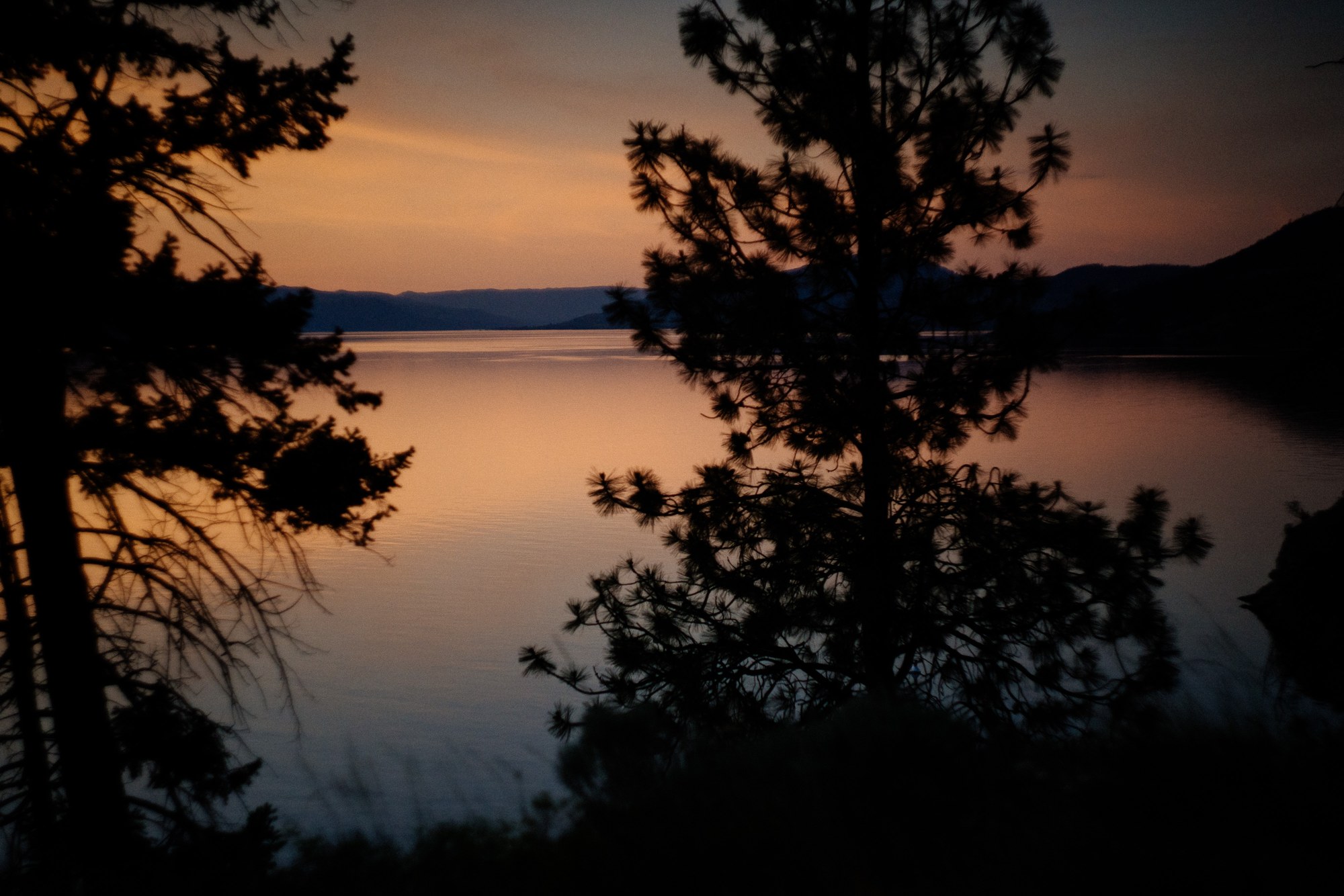 Evening Light at Paul’s Tomb: Dark pine silhouettes framing the dusk lake.