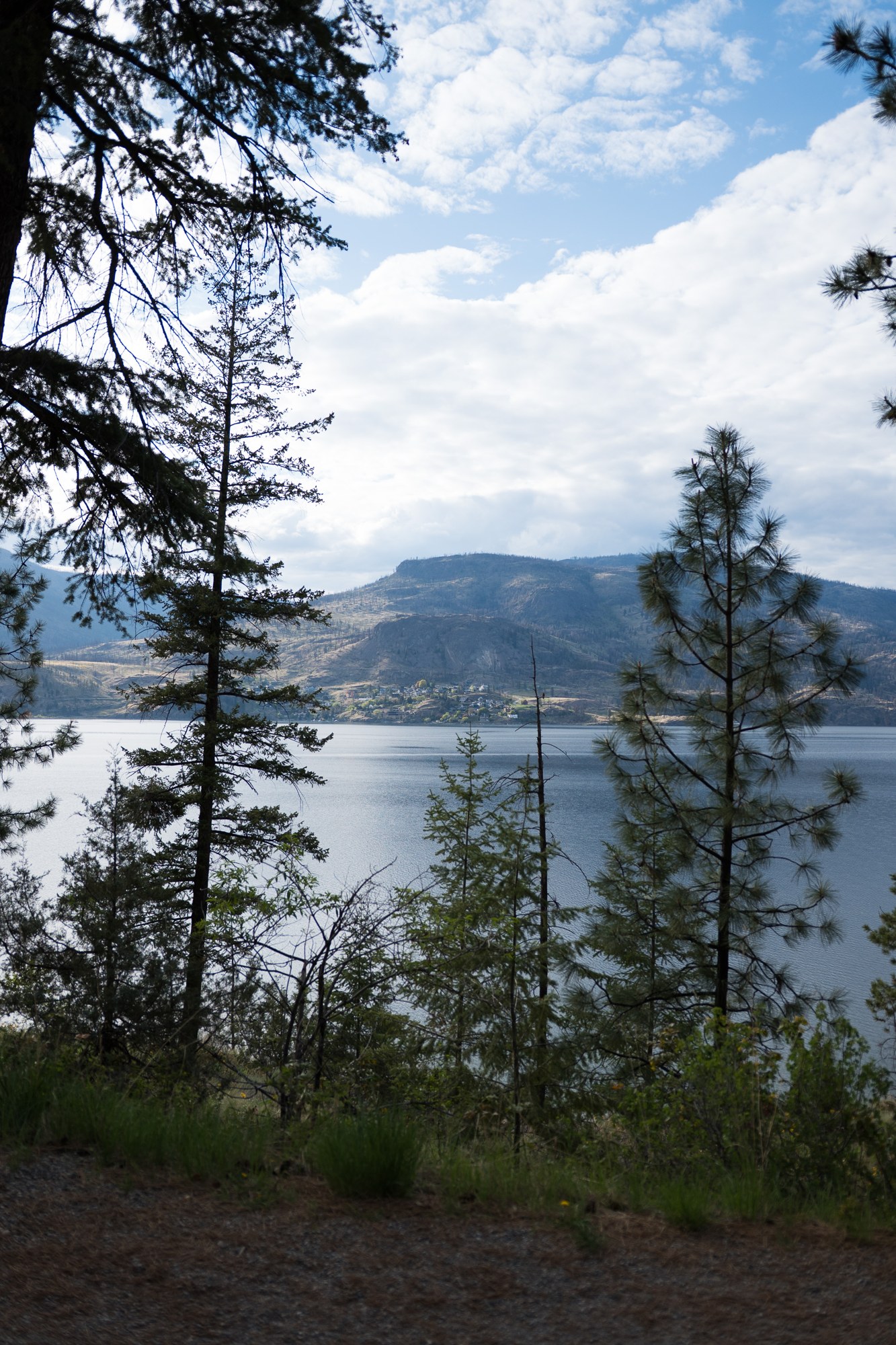 A Spring Walk to Paul’s Tomb: Lake and mountains framed by tall pines.