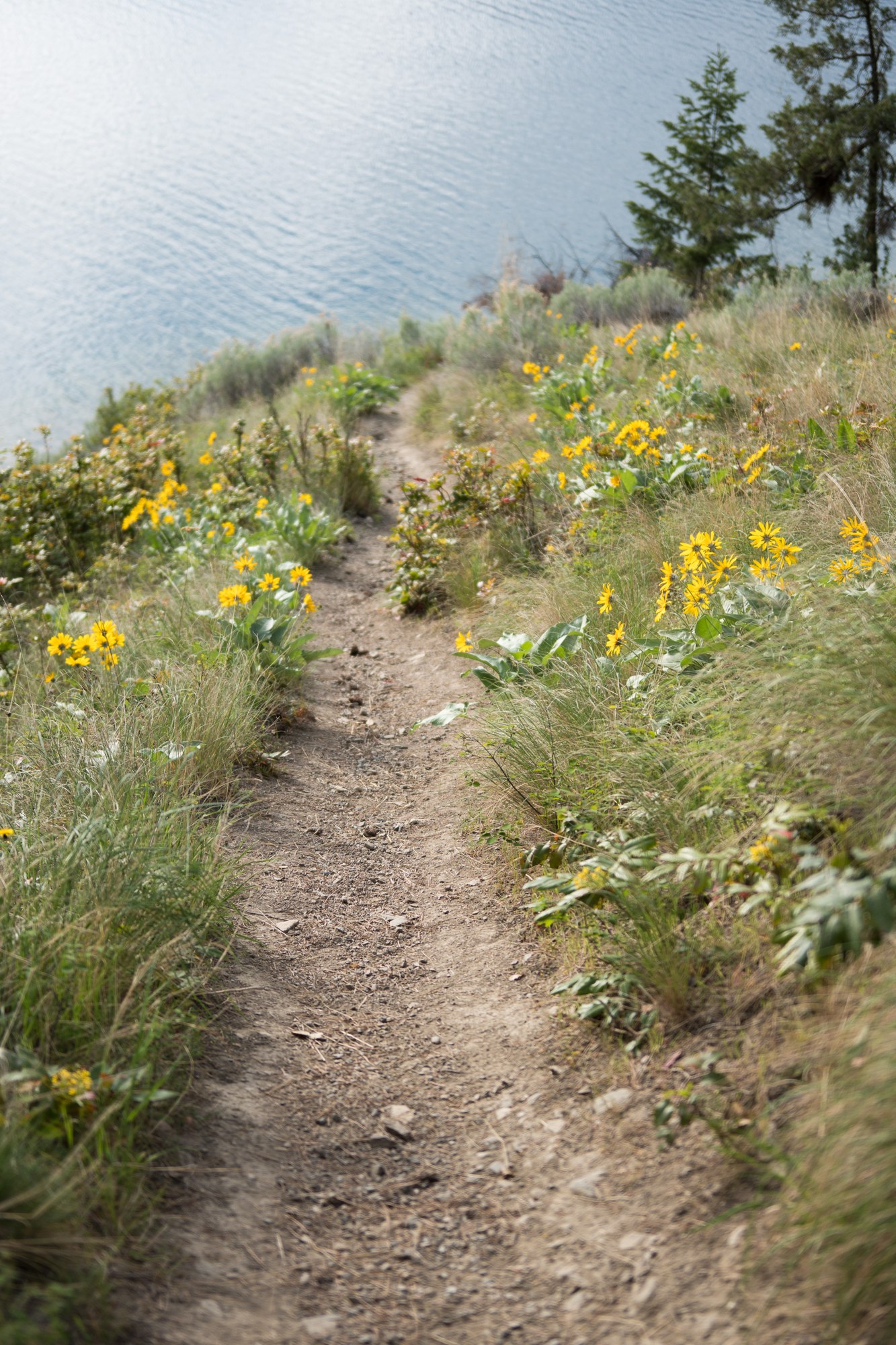 A Spring Walk to Paul’s Tomb: A flower-lined footpath above the lake.