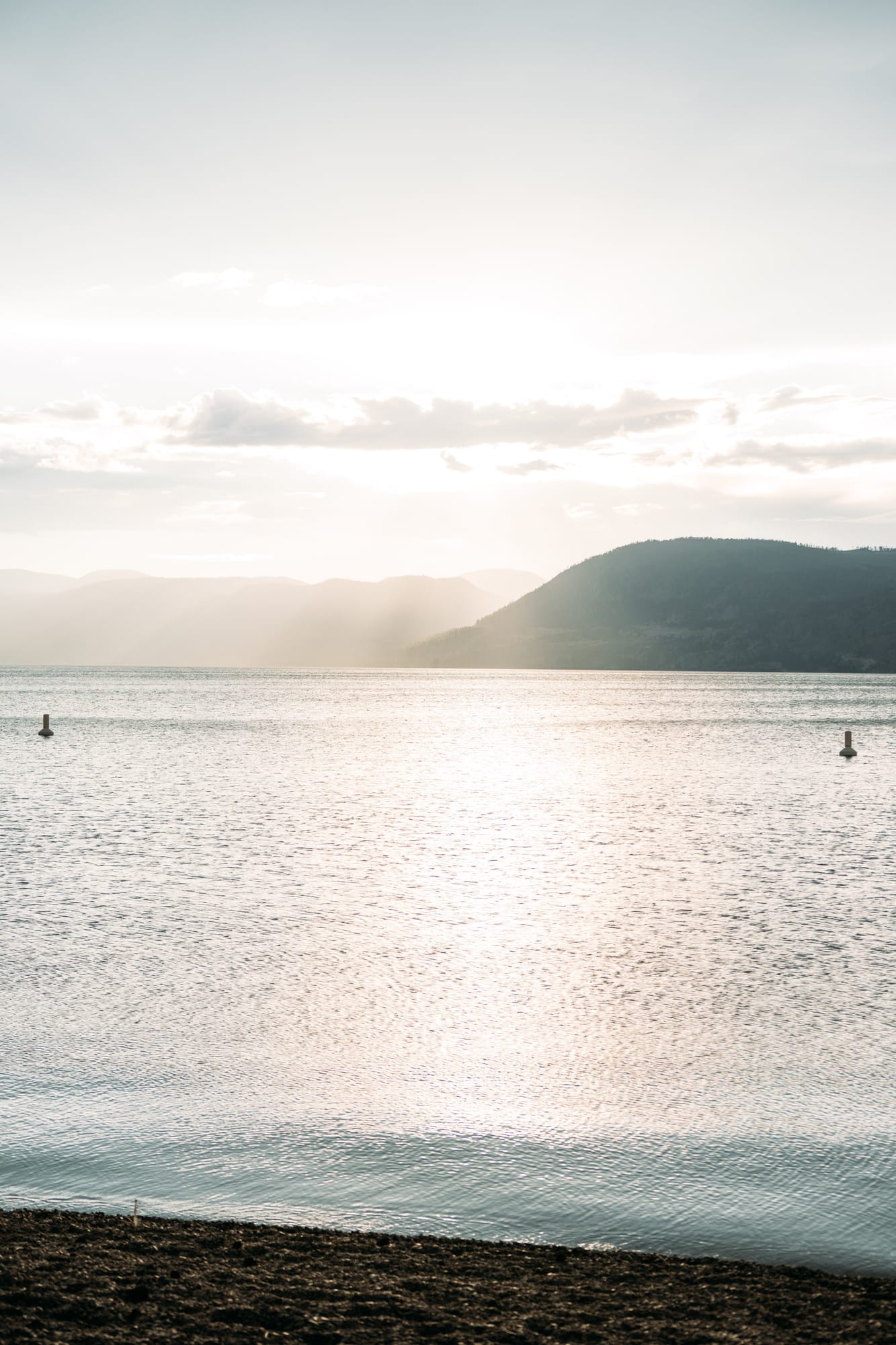 Rebekah at Bertram portraits story frame 10: A Bertram portrait story moving from floral dress and lake light into black dress, white shirt, sunset and water silhouettes..