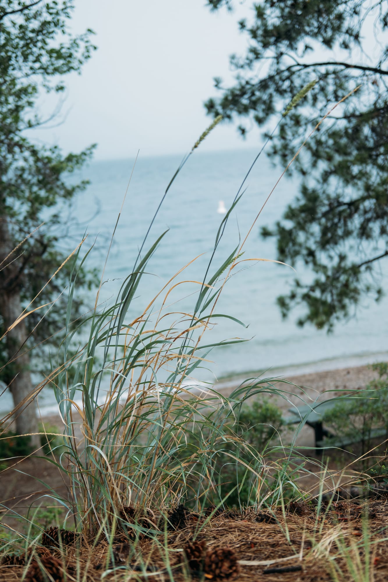 Sophia by the Lake portraits story frame 21: A multi-outfit Okanagan location session with water, trees, shoreline, denim and red swimwear woven into a summer portrait story.