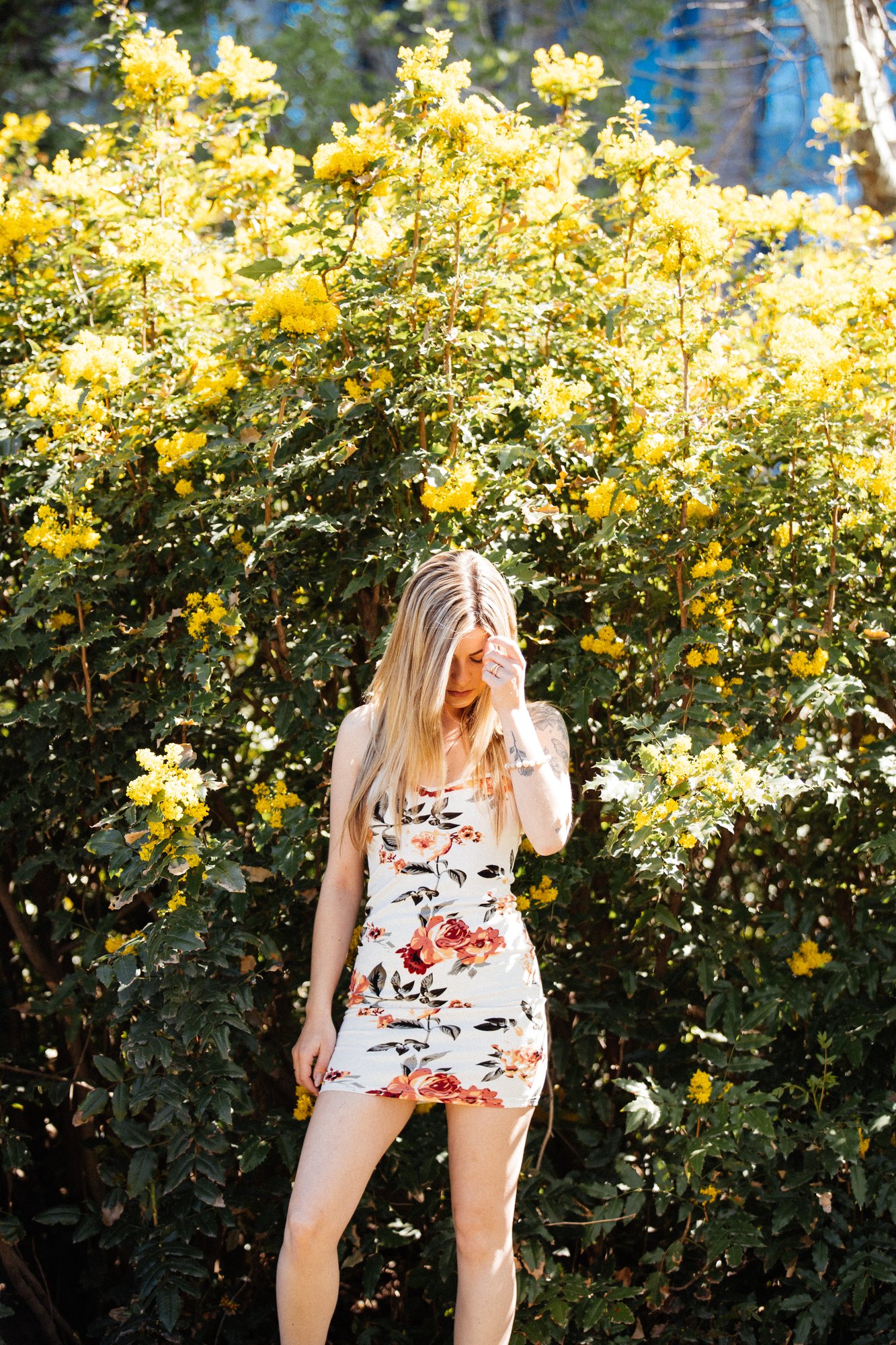 Sophia — looking back beside the flowering shrubs