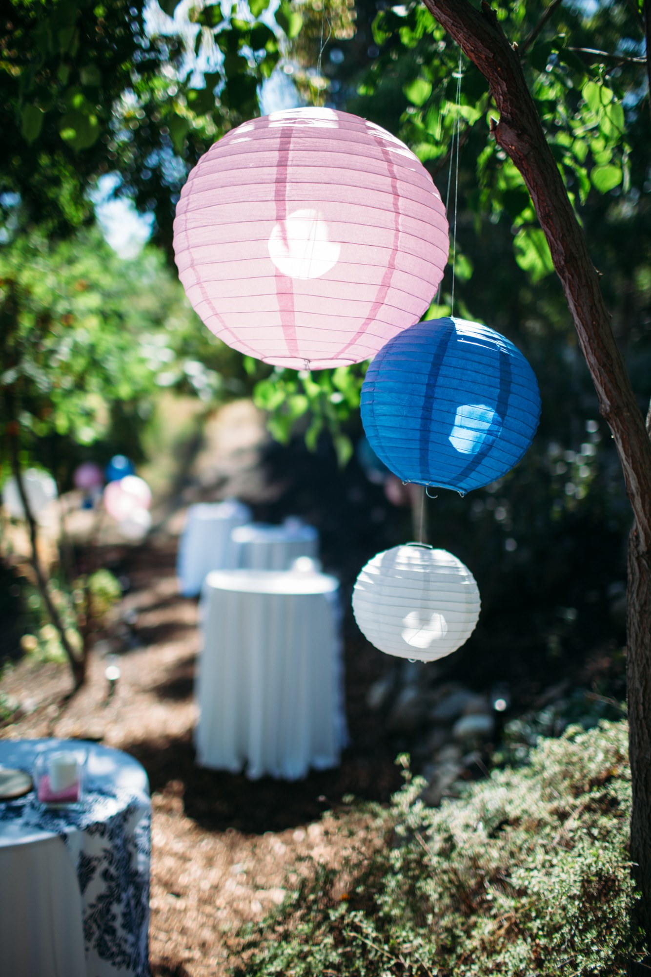 Steph & Taylor: Paper lanterns and garden tables before guests arrive.