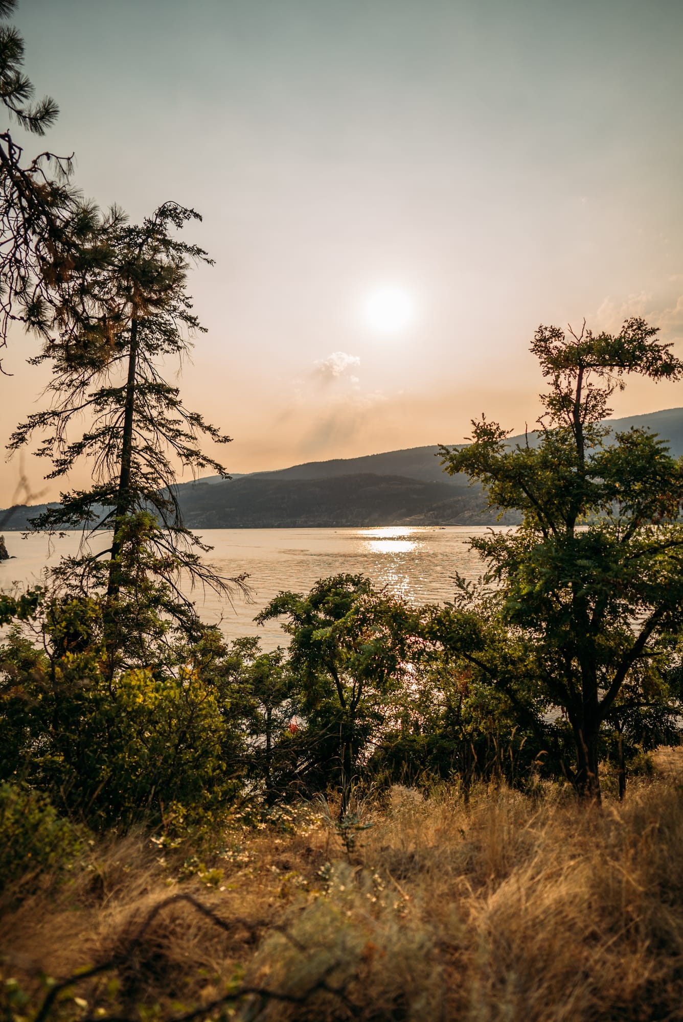 The Living Narrative, Sol corporate story frame 23: Personal-brand photography for The Living Narrative in Kelowna, with Sol in warm Okanagan light, lakeside portrait range and profile-ready images for creative business use..