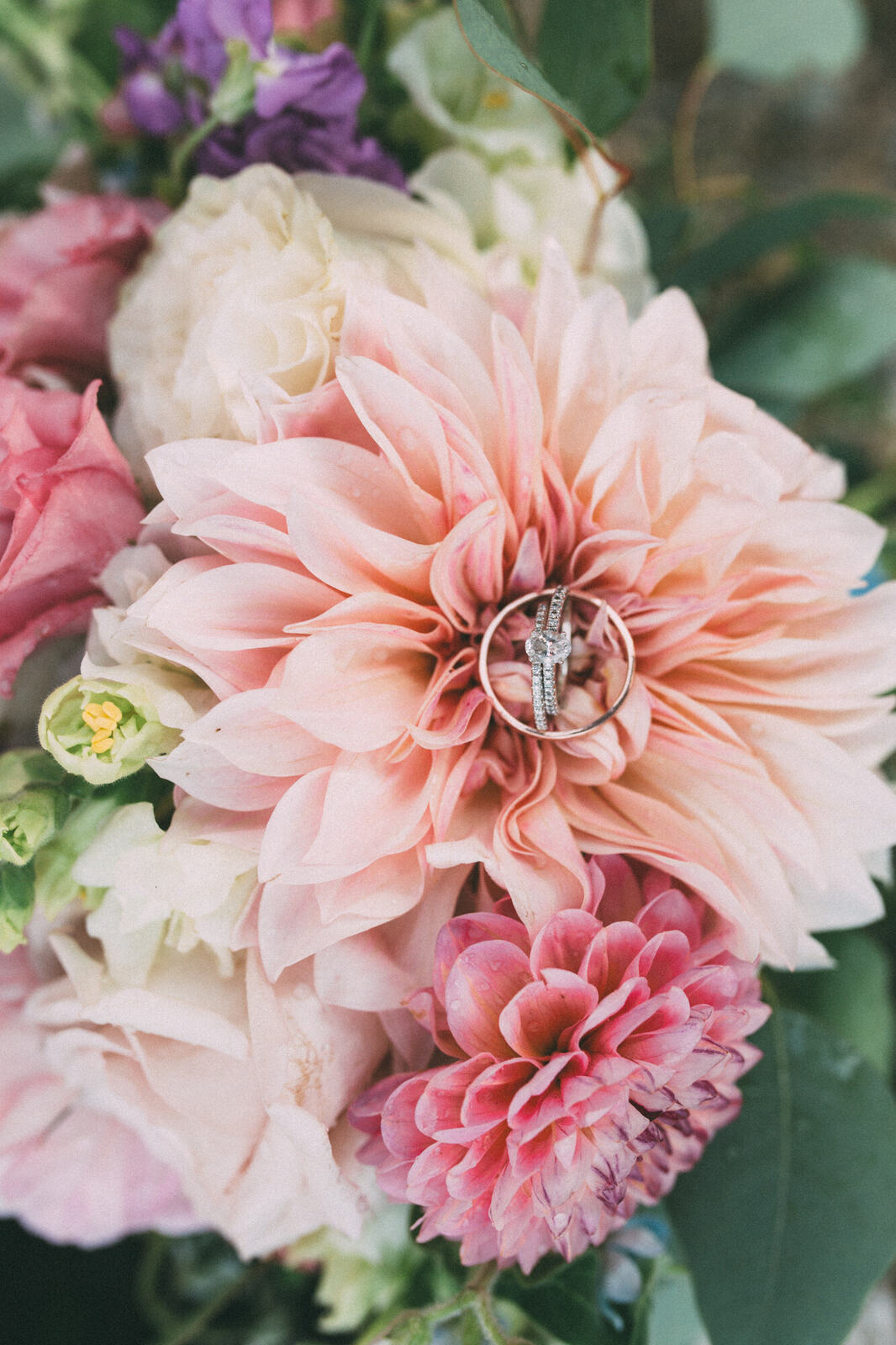 Wedding rings arranged in soft flowers